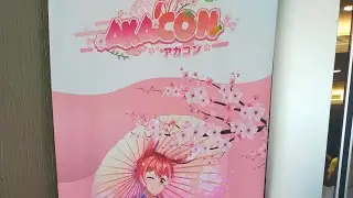AKACON Vlog 2