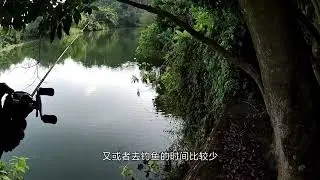 Необходимый навык для дикой рыбалки: ловля рыбы рывком #dankungfishing #streamfishing