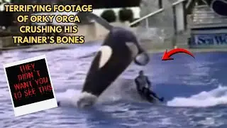 Худшее нападение косаток, которое SeaWorld пытался скрыть