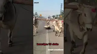 KAVURU TIGER vs SIMHA TYRE BETA AT KAVURU CHARUKUPALLI #smart creations #