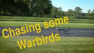 I Got Chased by a Quad