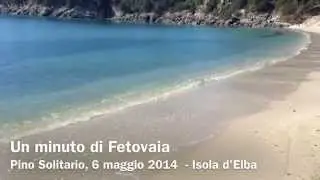 Un minuto di Fetovaia