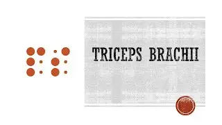 Triceps Brachii Functional Anatomy
