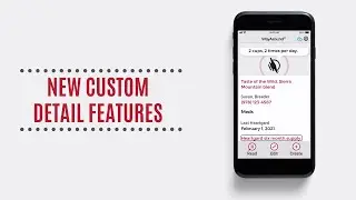 Custom Details New Feature - v. 3.2.0