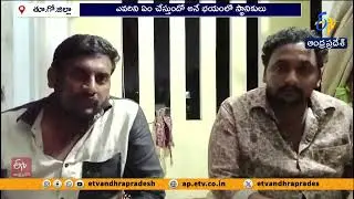 Tiger Spotted Near Rajamahendravaram NH at Divan Cheruvu