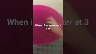 SALAMMI