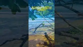 Enjoy the little things☘️👣🌅🌊 #explorepng #pngvibes #contentcreators #travel