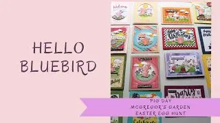Hello Bluebird-Pig day, McGregor's Garden and Easter Egg Hunt