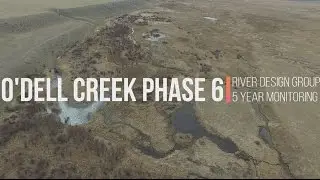 O'Dell Spring Creek Restoration Project: Phase 6