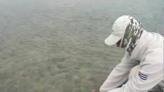 Tagging a Bonefish, Las Salinas, Cuba.