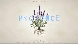 Caf&eacute; Music | Provence,France  | France JAZZ | cellolpiano｜coffee shop music | lung music |