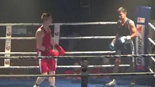 Boxen: Rudolf Hoffmann - Ali Hassani (Duell der Champions of Tomorrow #7)