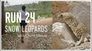 Run 24 for snow leopards with Charu Mishra