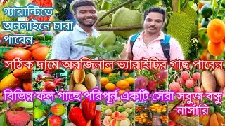 sabuj bandhu nursery | সঠিক দামে অরজিনাল ভ্যারাইটির গাছ পাবেন এই সবুজ বন্ধু নার্সারি