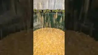 Mastering Corn Grits Production: Your Guide to Using the Corn Grits Making Machine #corn #maize