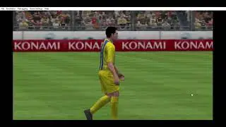 pes 2013