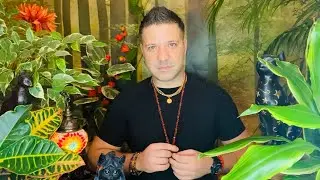 ALL SIGNS - WHAT TO PAY ATTENTION TO | November 2021 - Timestamped Horoscope Tarot Forecast