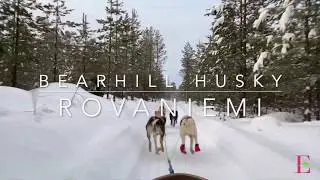 Bearhill Husky experience in Rovaniemi