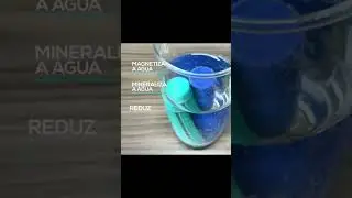 Sylocimol e Top H+