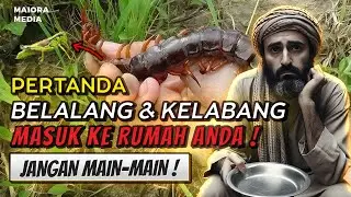 SUKA TIDAK SUKA , ANDA HARUS TERIMA AKIBATNYA ❗ Pertanda Belalang Dan Kelabang Masuk Rumah ..