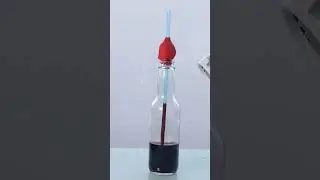 Make Thermometer with a Bottle