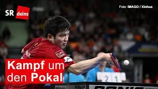 Tischtennis, Pokal: FCS k&auml;mpft beim Final-Four-Turnier um den Titel