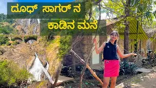 Dudhsagar Resort vlog| Jungle Book Resort| Near Dudhsagar waterfall  #goa#dudhsagarwaterfall#goavlog