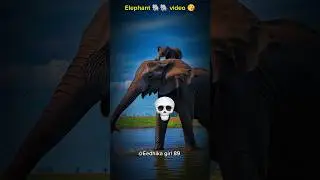 big Elephant Transformation video ☠️ 💀