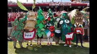 stanford university mascot