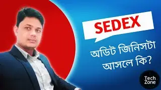 What is RMG Sedex 2 Pillar & 4 Pillar Audit? (Social & Compliance SMETA Standard)