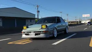 車主故事EP15 這絕對是全台灣最可愛的青蛙 #toyota #toyotacorolla #corolla 