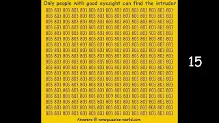 Find the Intruder Puzzle