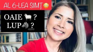 INSTINCT VS. INTUITIE | Diferenta dintre OAIE 🐑si LUP 🐺