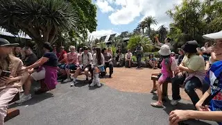 (4k) Auckland Zoo Bird Show/Flight School (New Zealand) | December 2022 | DJI Osmo Action 3.