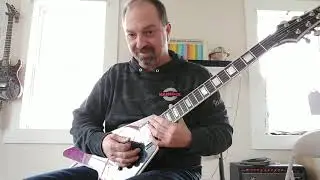 Schecter Custom