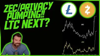 ZEC и конфиденциальность на пике популярности. LTC на очереди!? || Дэн Хейлман Инвестирование