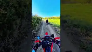 #bikelife #dirtbikeriding #motorcycle #forest #music #crf300l #motovlog #enduro #explore #honda #crf