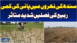 Sindh Water Shortage | Rabi Crops at Risk | Farmers in Nowshero Feroz Concerned - Aaj Pakistan News