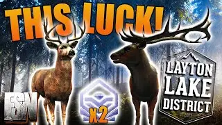 This 2023 Luck is SOMETHING ELSE! theHunter: COTW