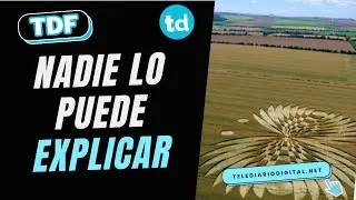 The enigma of crop circles: human art, natural phenomenon, or something else? 🤯