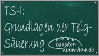 Teigsäuerung #1