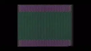 Never Change a Thing//coloradical ft Jacob Adcock of In The Barrel