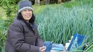 Artists in Gwaii Haanas Residency Program