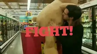 Fighting Teddy Bears At FoodMaxx