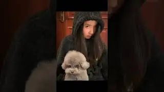 Dog imitating their owners | #trollface #trending #edit #imitation