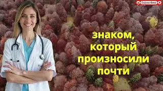 «Вы не поверите, что делали вожатые «Артека» после отбоя — скрытая история СССР» ✅