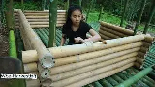 Building a Bamboo Cabin in the Jungle Survival #bushcraft #build #treehouse #camping #survival