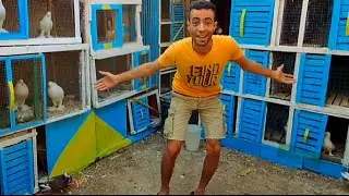 شوف عملت ايه 🙄 عند الحمام