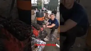 Bobcat . Ремонт двигателя XINCHAI C490 BPG