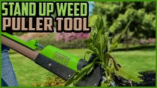 ✅Top 5: Best Stand Up Weed Puller Tool of 2022🔷reviews & Buying Guide
